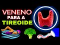 Como destruir sua tireoide  8 erros que detonam sua tireoide