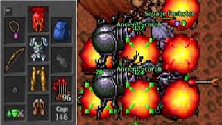 MS 116 & EK 123 vs ANCIENT SCARABS (Hiberna 2005 7.4)