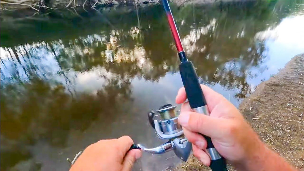 Catching a real mixed bag fishing. 4 fish 4 different species. YouTube