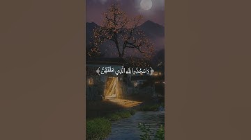 ومن آياته الليل والنهار والشمس والقمر لاتسجدوا للشمس ولاللقمر واسجدوا لله الذي خلقهن إن كنتم إياه..♡