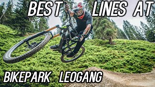Bikepark Leogang Die Besten Lines! GoPro Hot Shots, Hangman , Downhill, Flying Gangster, Bongo Bongo