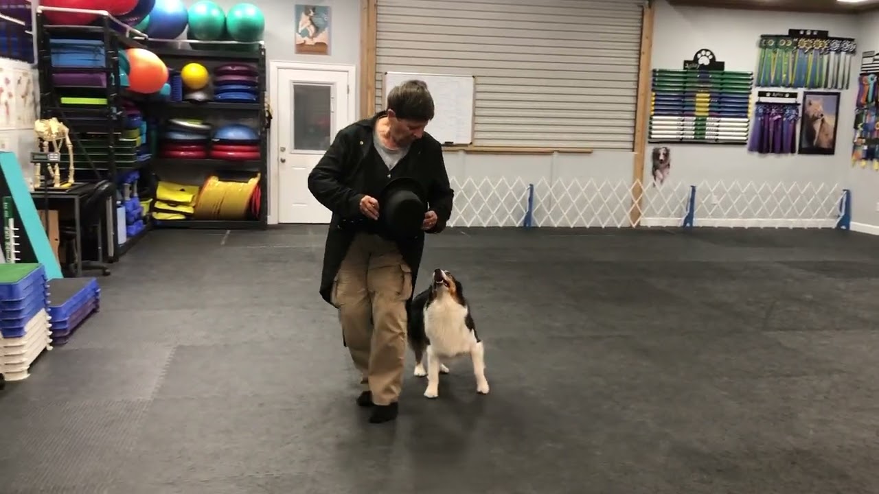 Dhena Skowronska Musical Freestyle Newcomer leg 3 Feb 2022