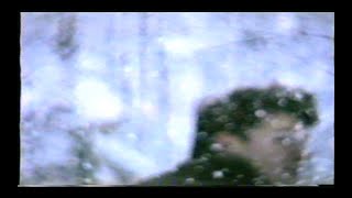 peach tinted - taro la