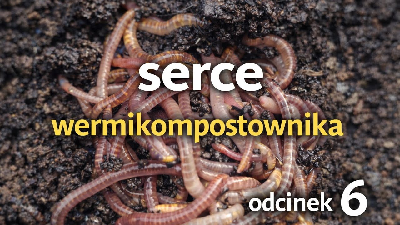 Zapachy i sygnały ostrzegawcze – najczęstsze błędy w wermikompostowniku.🪱🪱🪱