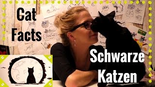 Cat Facts - Folge 7: Schwarze Katzen