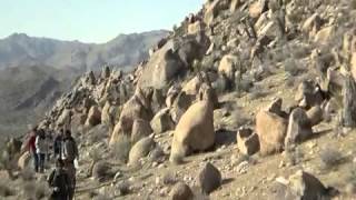 Famous On The Border - Original Film Score by Jason Nesmith Net Worth