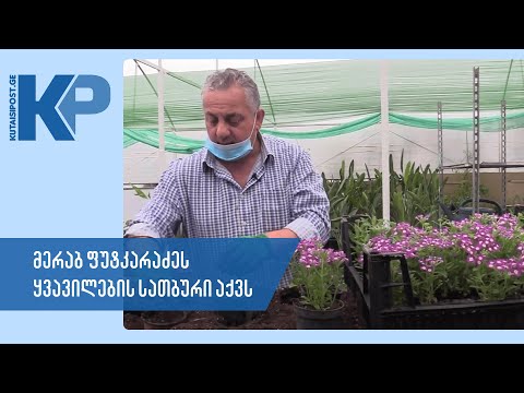 მერაბ ფუტკარაძის  ყვავილების სათბური