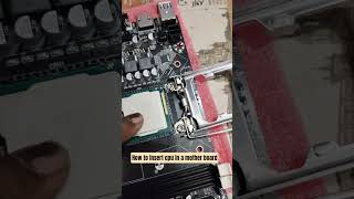 how to insert a cpu