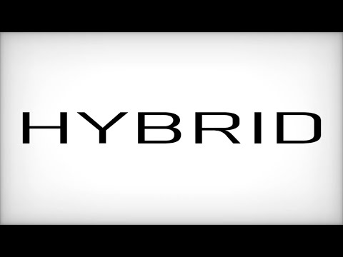『HYBRID』を歌ってみた【Pter】／オリジナルMV