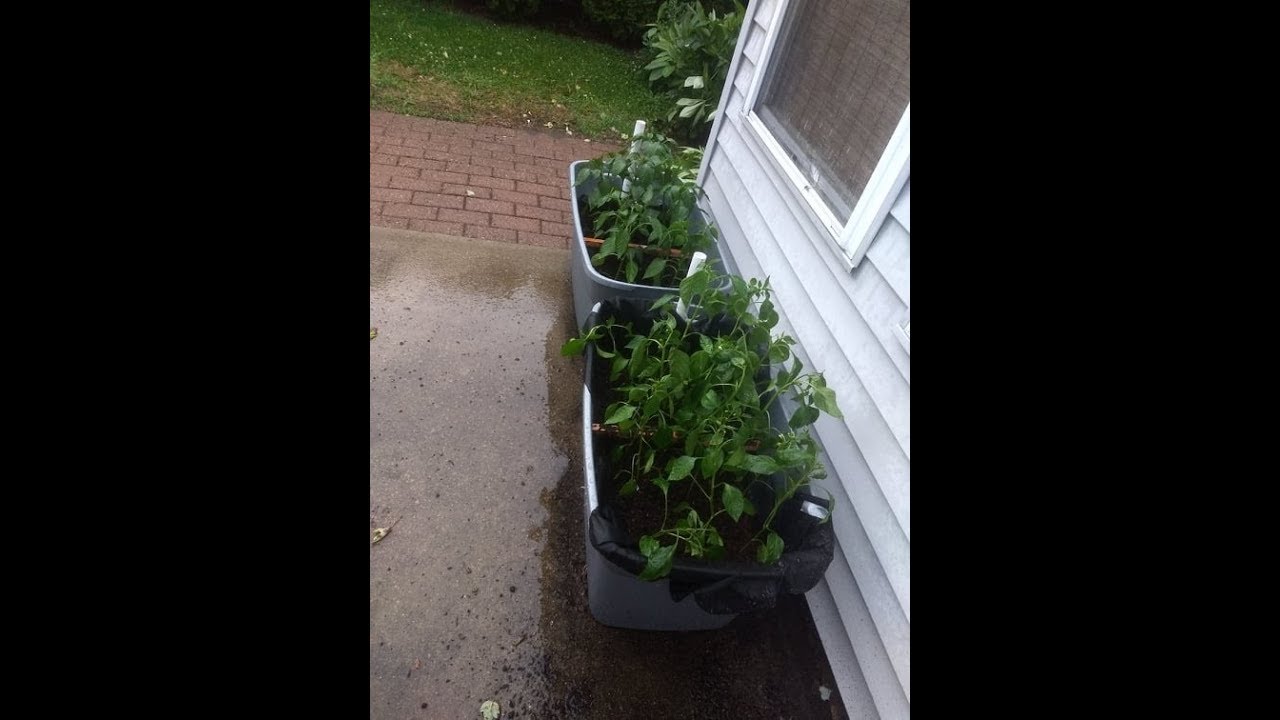 DIY Self Wicking Containers with Angie's Pantry YouTube