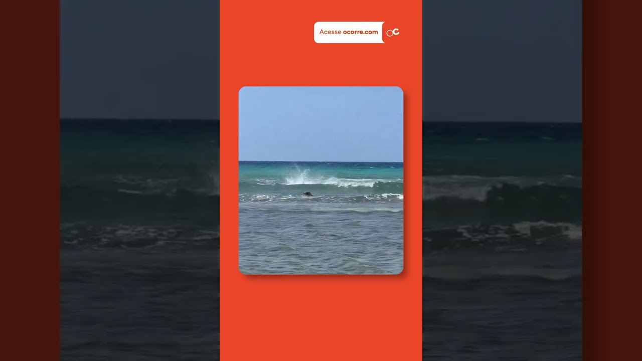 Virgínia registra CENA RARA durante passeio em praia na JAMAICA