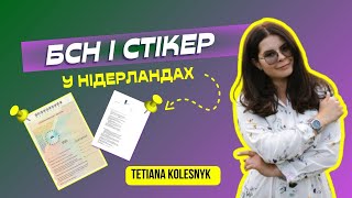 Що Таке Бсн Та Стікер В Нідерландах?