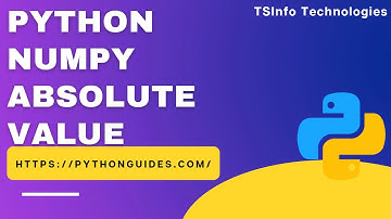 How to calculate the absolute value of each element in NumPy Python | Python NumPy absolute values
