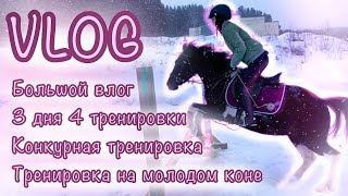 Коновлог | День на конюшне | 3 дня - 4 тренировки