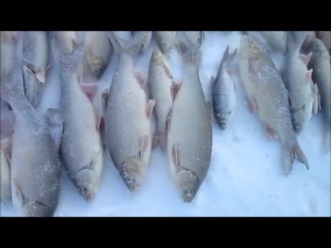 Зимняя рыбалка проверка юбки