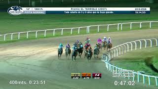 Vidéo de la course PMU PREMIO EL TERRIBLE 2007