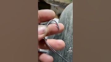 lưỡi câu cá lóc mẫu móng heo thép 2li4 dài 6cm đít đục với giá  rất đáng đồng tiền bát gạo