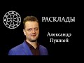 Расклад на Александра Пушного