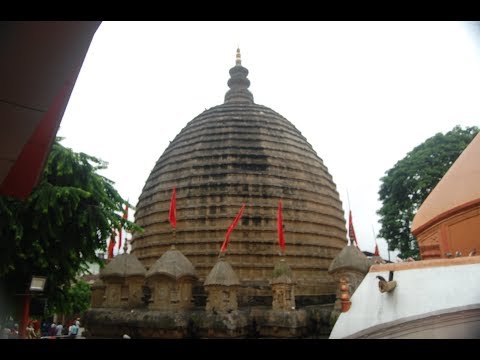 ভিডিও: কিভাবে আলপাইন স্কিসের আকার চয়ন করবেন