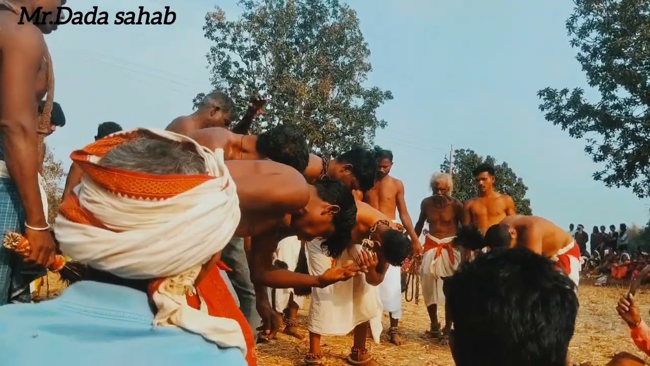 ग्राम शेरपार_ जिला -मानपुर मोहला _पोहचानी कार्य दिनांक 05/02/2026