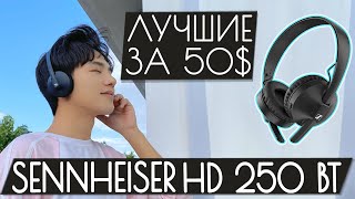 Обзор Sennheiser HD 250 BT - ЛУЧШИЕ беспроводные наушники за 50$