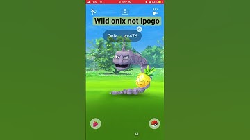 Wild onix