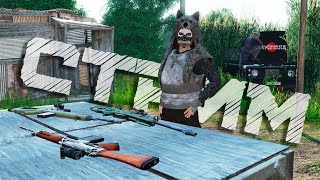 ВАЙП / БЕСПЛАТНАЯ ЛИВОНИЯ 1.25 #dayz  #stream