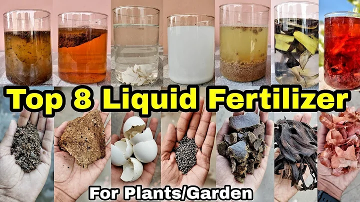 Top 8 Liquid Fertilizer for your Plants / Garden. - DayDayNews