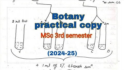 Botany practical copy, #msc 3rd semester, #MSc 2nd year botany practical copy, 2025
