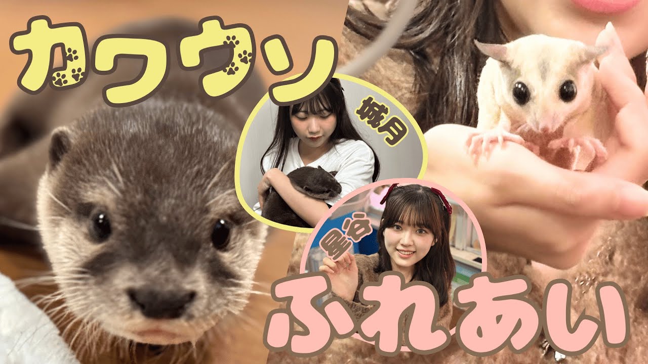 【TAKANEKO-TV】#7 城月＆星谷でカワウソの幼稚園に行ったよ！