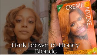 Crème of Nature Honey Blonde🍁 on dark brown virgin hair