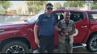 Urfada Bitkin Halde Bulunan Yavru Kızıl Şahin Tedaviye Alındı