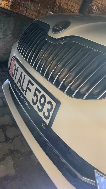 Unseen Skoda Octavia Images:  Exclusive Sneak Peek! - odv4l07