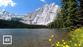 4K Majestic Mountains Ambience | Alpine Lake in BC Backcountry | Nature Scene for Sleep & Relaxation