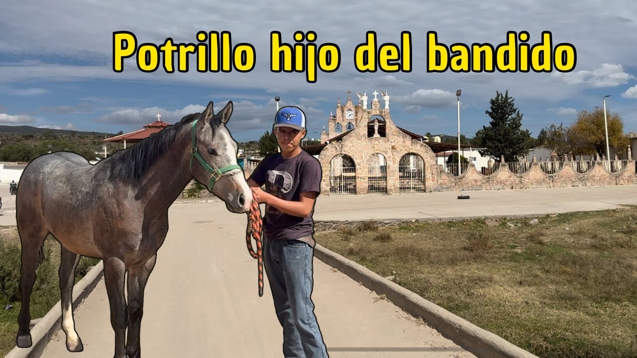 Visitando a los amigos del ejido del centro | Conociendo su potrillo de carreras