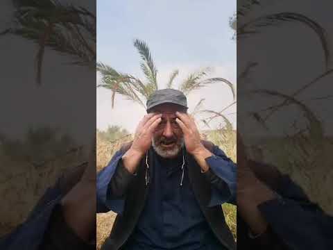 علاج الشقيقة  