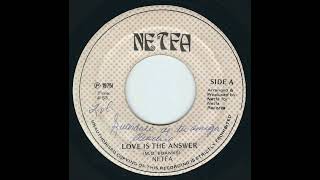Netfa - Love Is The Answer [Netfa]