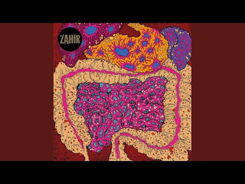Zahir — Well Manicured Man