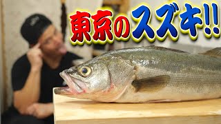 東京育ちのスズキは旨いのか？匂いや味はどうなの⁉…刺身と煮込みうどんで食べてみた。(捕獲シーンあり)