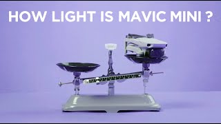 How Light is Mavic Mini?