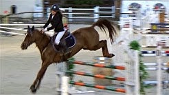 ■ 30/09/2018 - Marolles-en-Brie - As Poney 2 D Grand Prix - Nieland's Joris - CSO - Clara Maitre