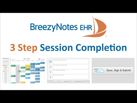 BreezyNotes EHR video