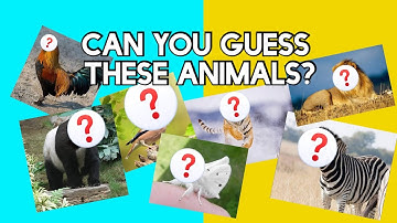 Guess the Hybrid Animal Challenge | Funny Family & Friends Game