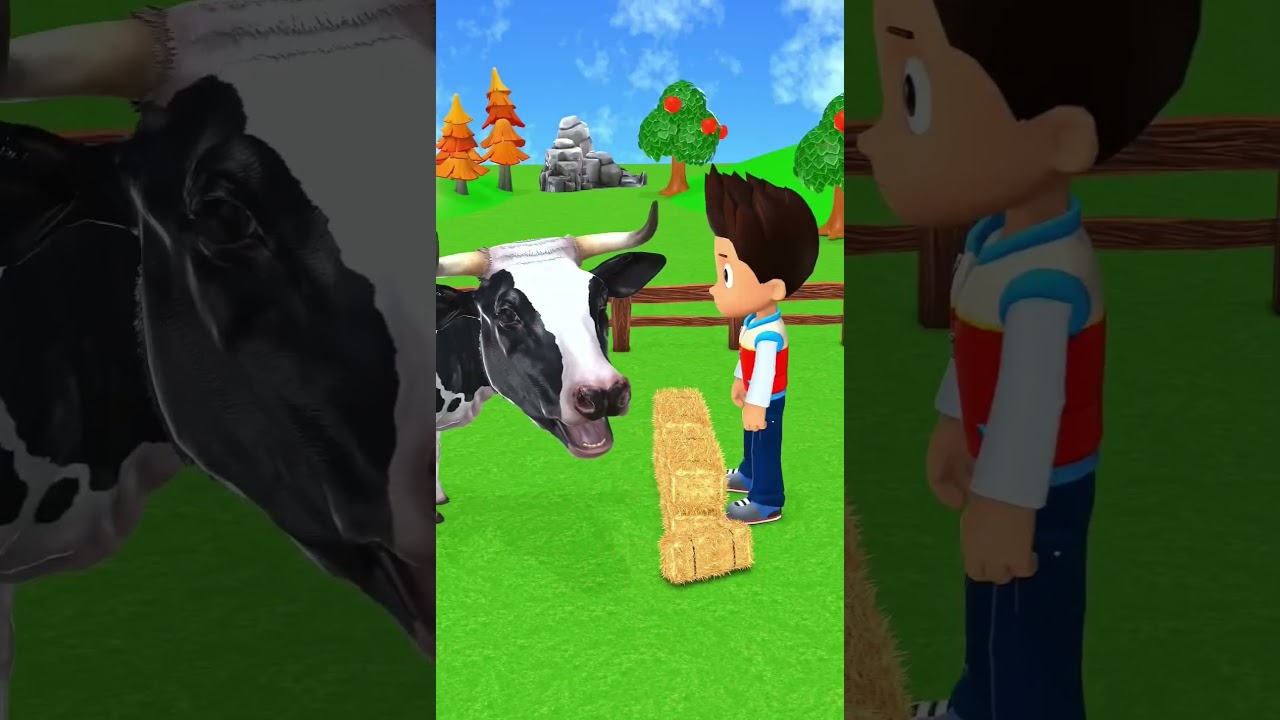 A Boy & cow so funny