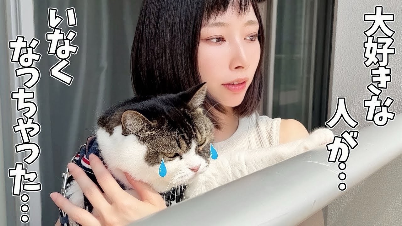 大好きなお兄さんがいなくなってベランダまで探しに行った時の猫の反応