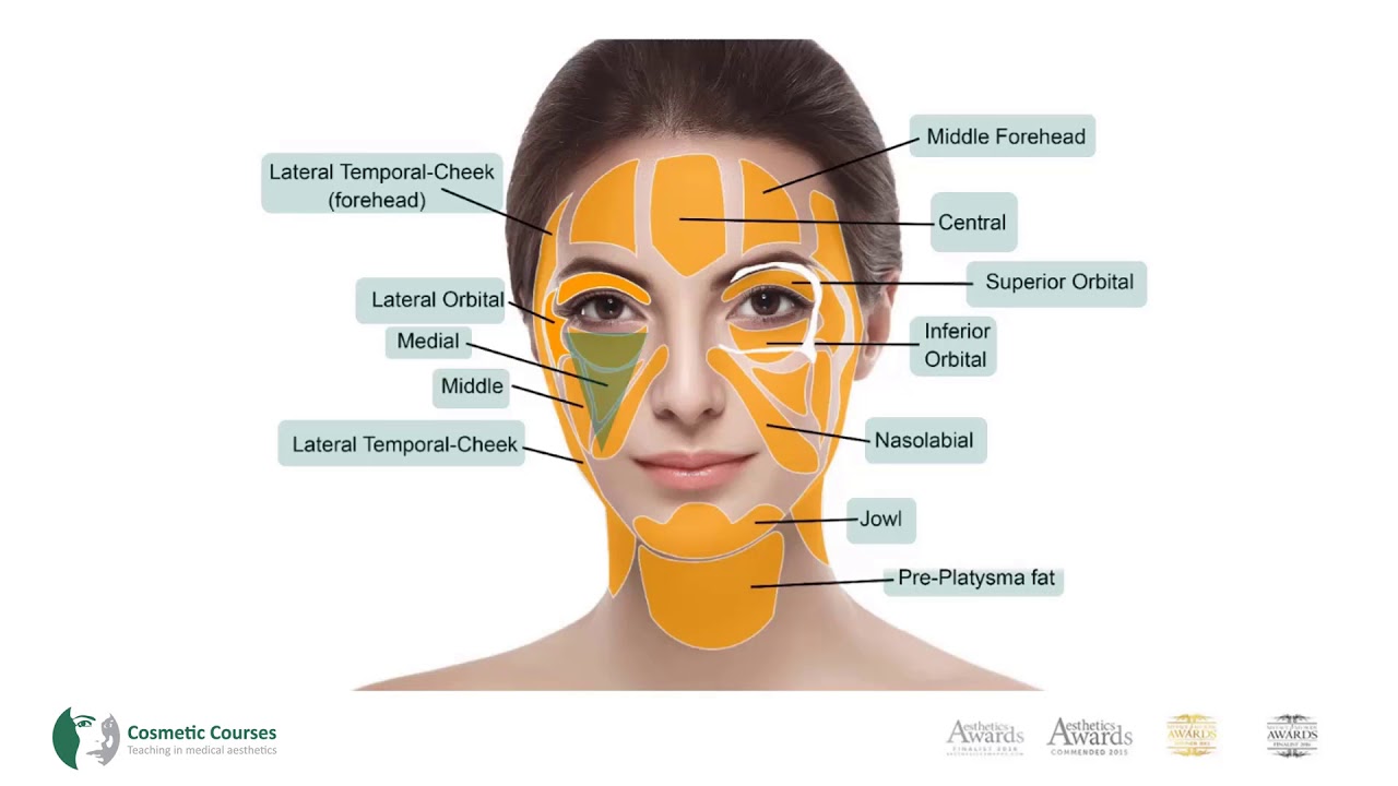 Understanding Facial Fat Pads Cosmetic Courses Youtube