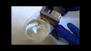 self-assembled supramolecular gel