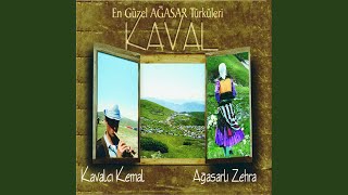 Kesilen Ağacın Davası Kolay Olur (Feat. Kavalcı Kemal) Resimi