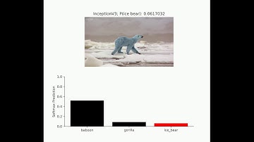 Deep learning networks are sensitive to small changes to their input - Ice bear