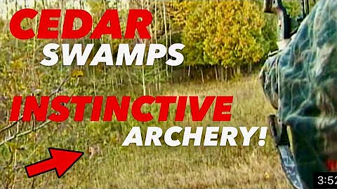 Dan Fitzgerald Bowhunting Cedar Swamps INSTINCTIVE!